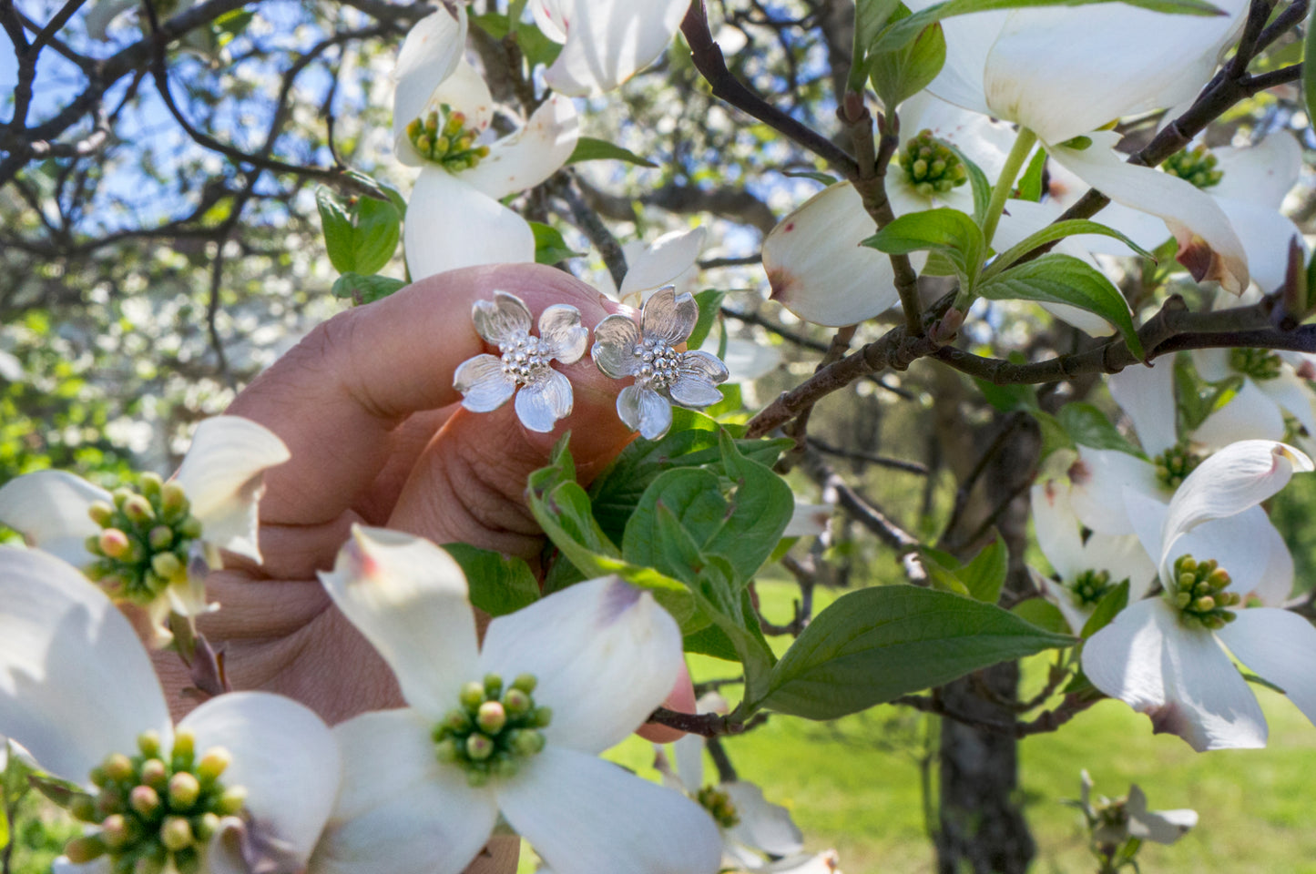 Dogwood silver ear studs