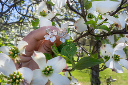 Dogwood silver ear studs