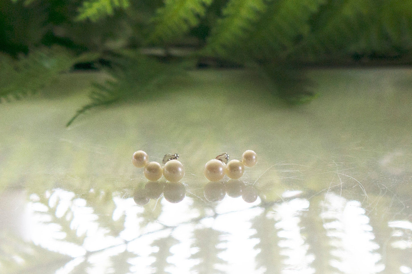 Freshwater pearl silver ear studs
