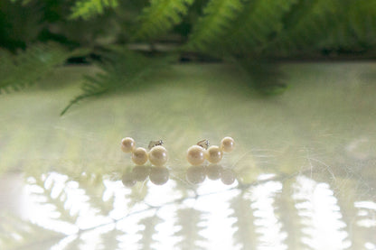 Freshwater pearl silver ear studs