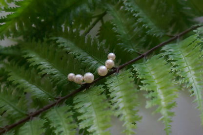 Freshwater pearl silver ear studs