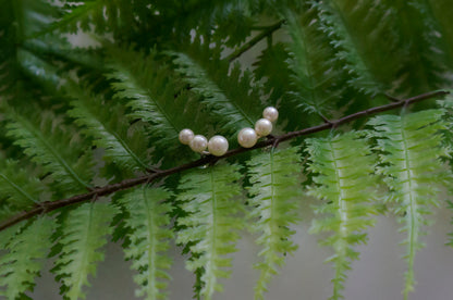 Freshwater pearl silver ear studs